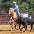 Old West Special Trails Ranch/Barrel Show